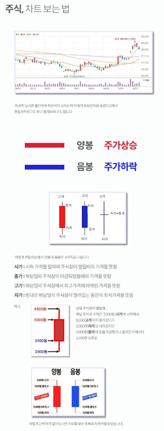 주식차트 보는 법.PNG